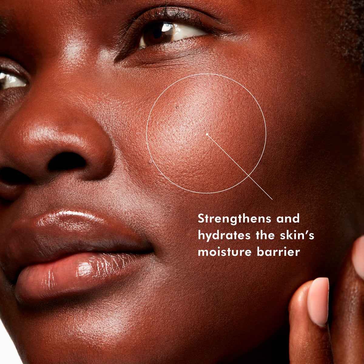 PHYTO A+ BRIGHTENING TREATMENT Daily Moisturizer with Azelaic Acid